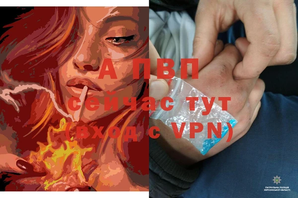 стафф Абинск