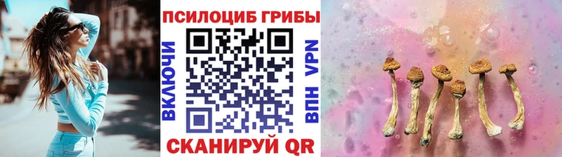 Галлюциногенные грибы Psilocybine cubensis  закладка  Южно-Сухокумск 