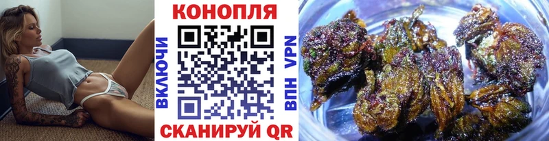 Бошки марихуана сатива Южно-Сухокумск